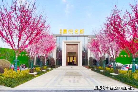 栾城林荫春天项目最新消息揭秘，一、项目全景概览