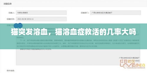猫突发溶血，猫溶血症救活的几率大吗 