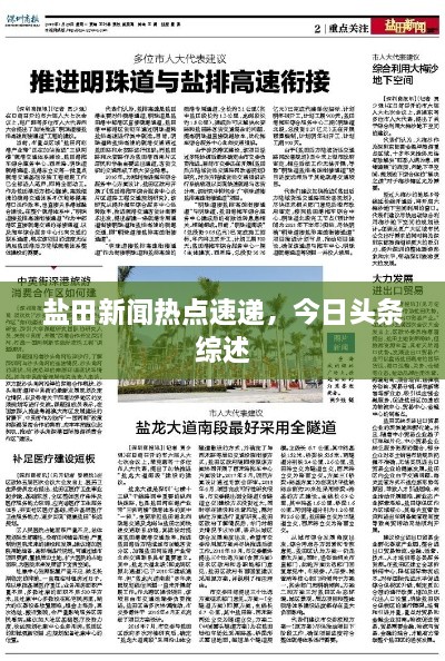 盐田新闻热点速递，今日头条综述