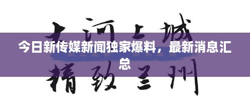 今日新传媒新闻独家爆料，最新消息汇总