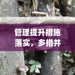 管理提升措施落实，多措并举提升管理水平 