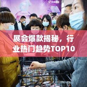 展会爆款揭秘，行业热门趋势TOP10热销产品榜单