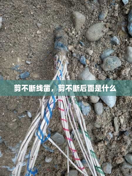 剪不断线凿，剪不断后面是什么 