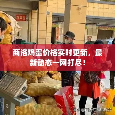 商洛鸡蛋价格实时更新，最新动态一网打尽！