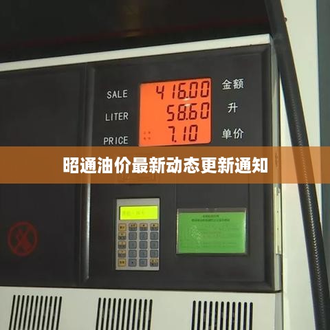 昭通油价最新动态更新通知