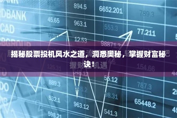 水浄鹅飞