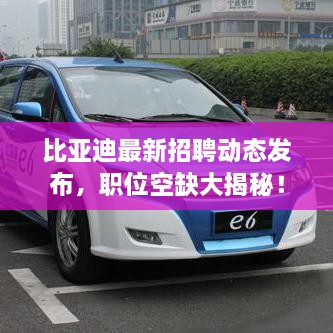 新闻中心 第35页