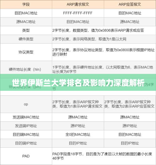 世界伊斯兰大学排名及影响力深度解析