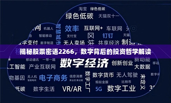 揭秘股票密语2266，数字背后的投资哲学解读
