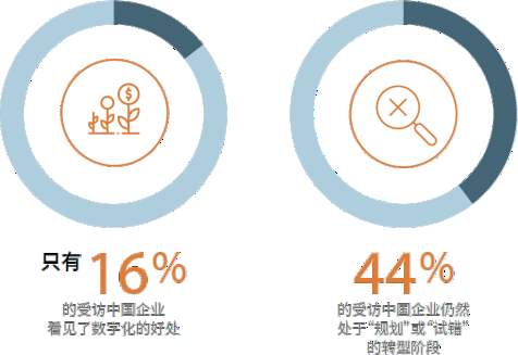 聚焦数字1133ee，最新探讨与深度思考