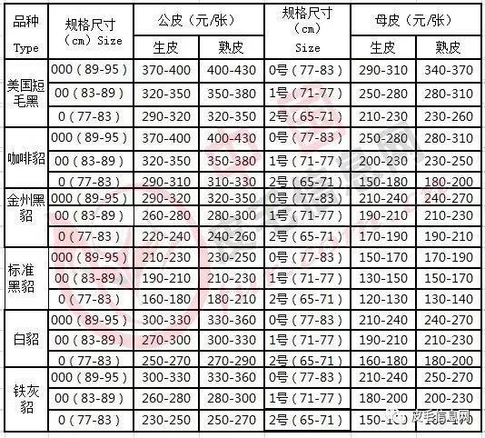 尚村水貂皮最新价格动态分析与行情概述