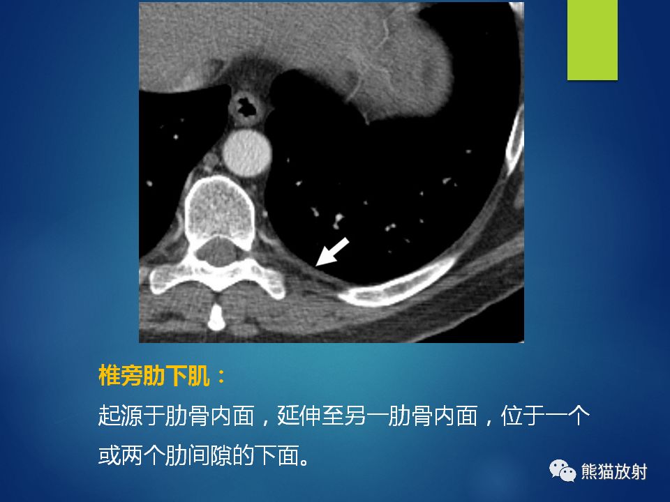 肖创英最新动态，科学评估解析报告_CT67.28.50揭秘