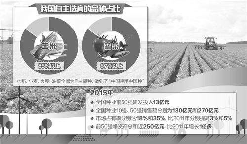 复古款与电影解析，中国最新电影案例深度解读