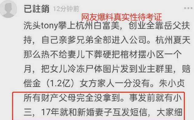 杭州保姆纵火事件视频最新解析说明，深度探讨与复古版细节揭秘