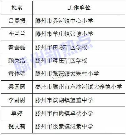 滕州振兴路最新动态，实践数据解读与定义揭秘_特别版