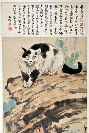 最新貉子皮价格预测与时代解析，运动版价格展望（60、60.89）