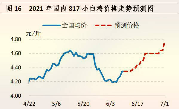 最新肉鸡价格预测,肉鸡行业概述