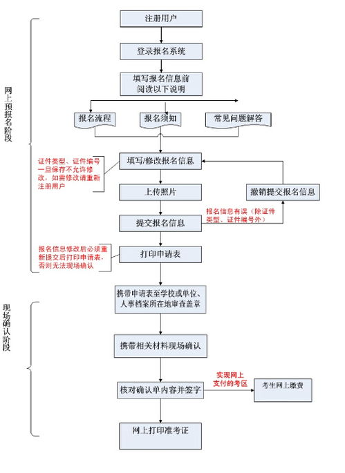 11月5日泰兴交通指南，最新出行流程及注意事项