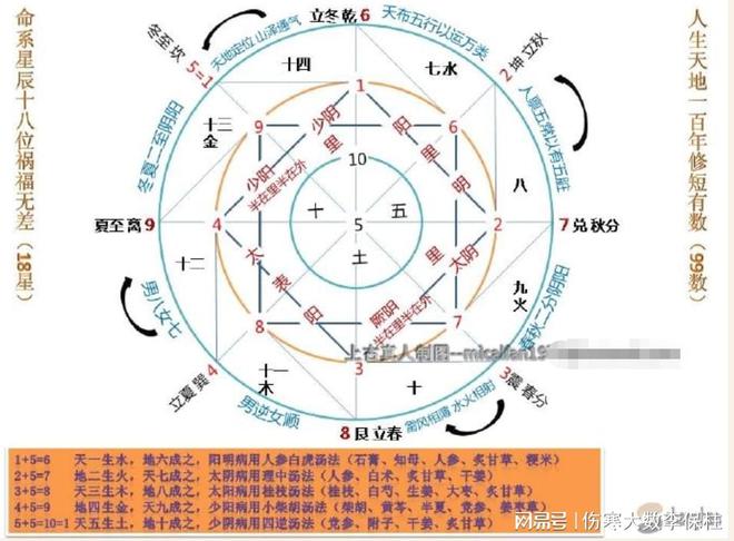 五行天最新章节，时代背景下的独特印记（11月8日更新）