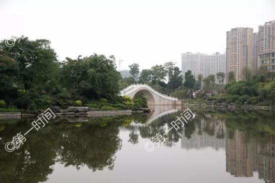 桂林临桂新区探秘，与自然共舞的心灵宁静之旅（最新消息）