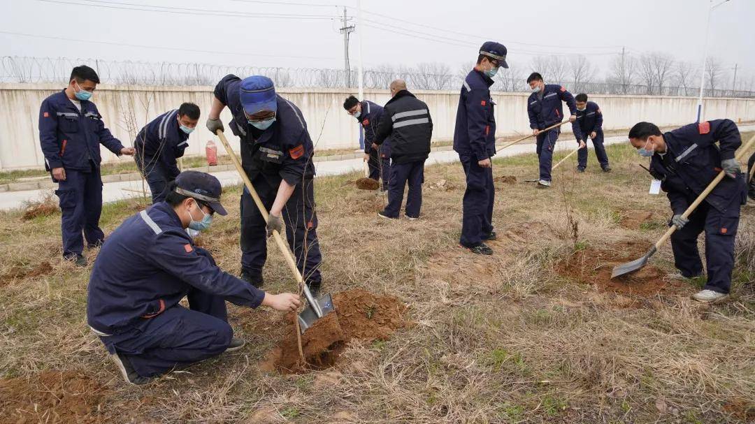 昌黎两山最新动态揭秘，11月8日最新消息探索