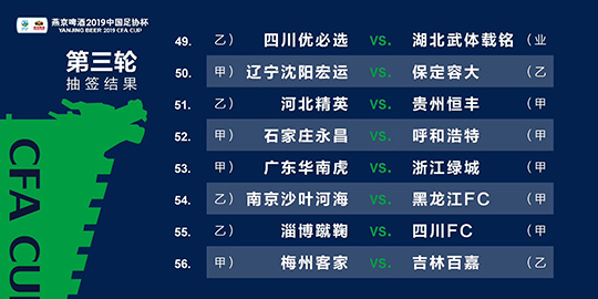 澳门绝密一肖100%精准，详尽解析_家庭版FEW288.43