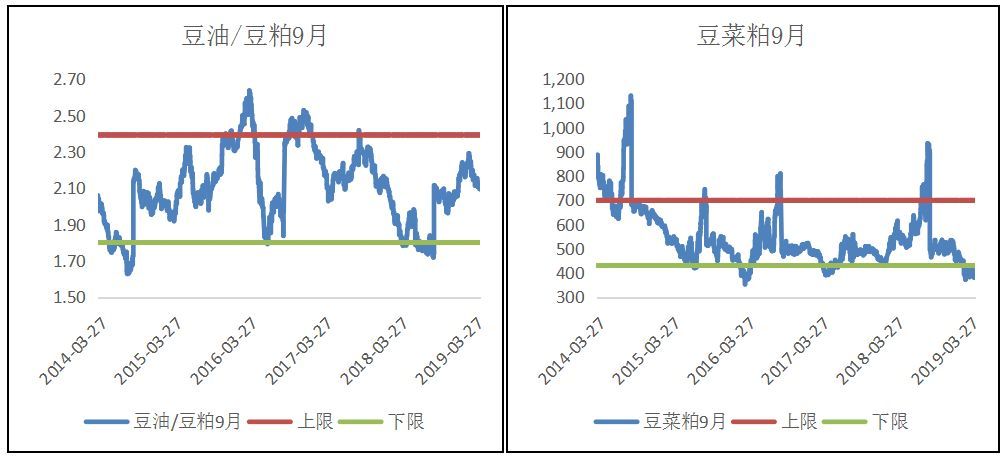 最新芽豆价格走势分析，市场动态、观点探讨与个人立场观察