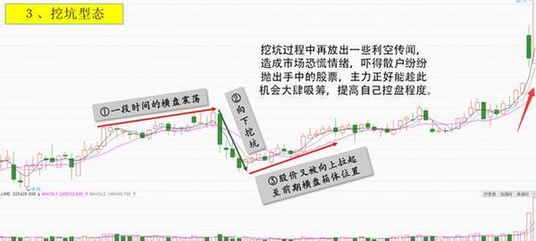 新澳门最精准正最精准龙门,安全性策略解析_体育版YLE855.67