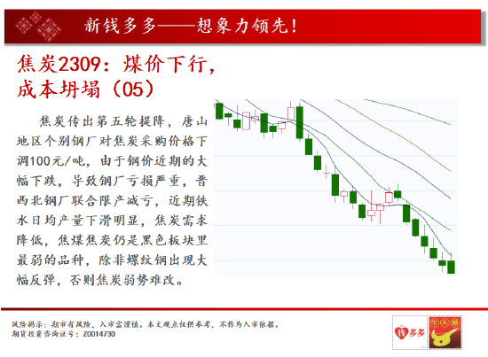 历史上的11月10日白糖期货市场动态解析与最新动态关注