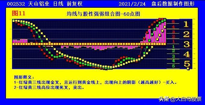 澳门王中王六码新澳门,综合判断解析解答_防御版WUG829.63