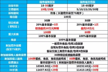 二四六管家婆精准资料解析：安全策略及SMT927.45终身版攻略