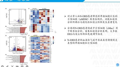 “免费精准管家婆7777888888，数据资料详尽解读——QZX289.57解放版”