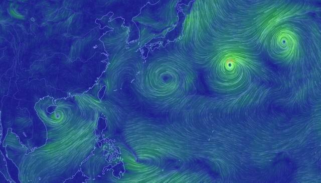 深圳洛克台风最新动态，一场风暴的回顾、影响与最新消息