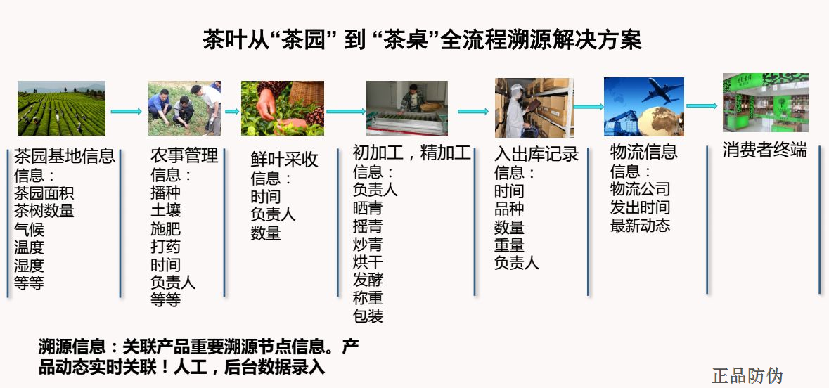 澳门精准一码解析方案：幻想版XWK807.8安全保障技术