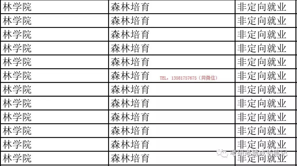 新澳今天最新资料2024,状况评估解析_严选版906.28