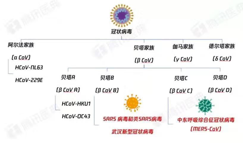 2024新奥免费详实资料集，数据解析详解_亚圣KLE377.3