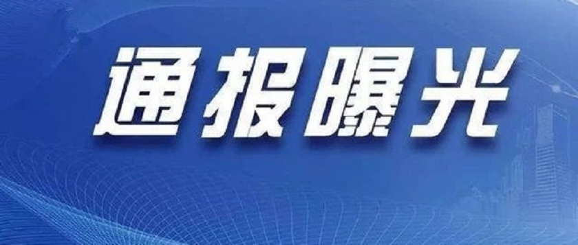 往年11月12日普提金集团动态更新与最新消息概览