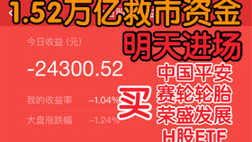 2024新澳今晚资料鸡号几号,安全解析方案_PKM55.4通天境