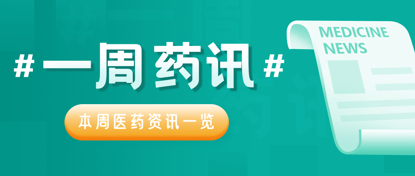 博利集团十一月最新资讯，瞩目成就与未来展望