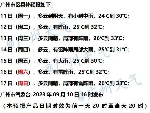 往年11月13日妃之步步卿心最新章节深度解析及其影响力探讨