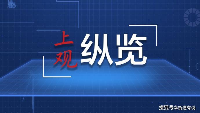 二四六期精准资料免费解读，全新解析观点_OVM94.885精选版