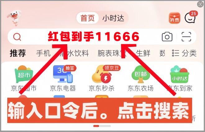 一站到底最新一期名单揭晓，探寻人才选拔新视角（2024年11月14日版）