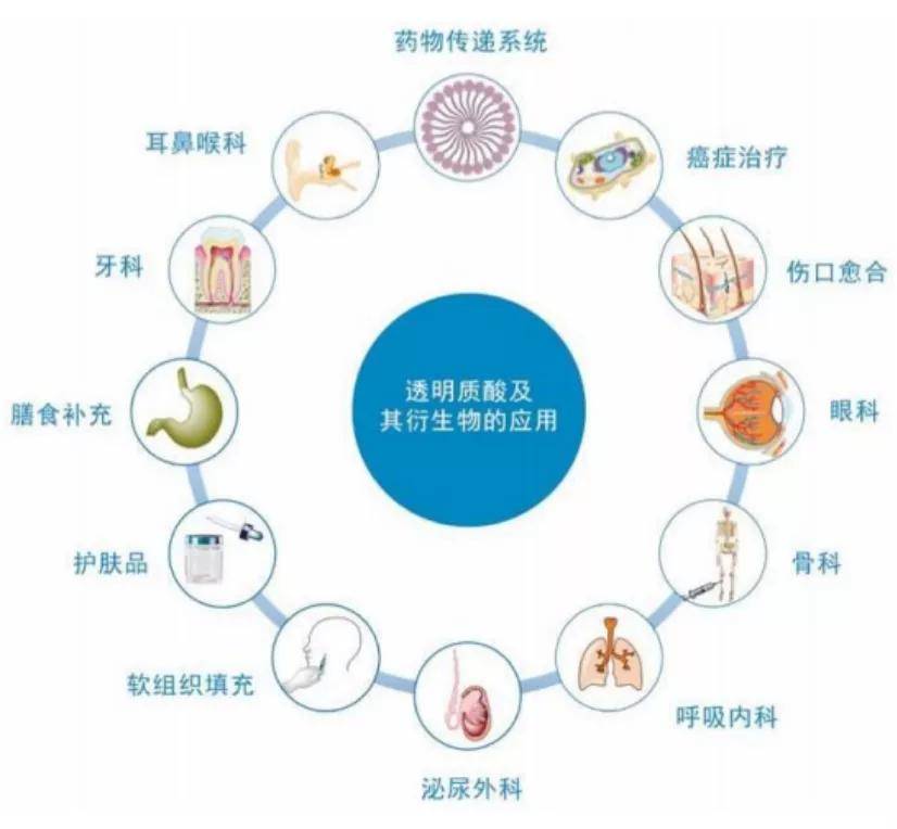 新奥资料优势与劣势分析及现状评估_KXC82.568透明版