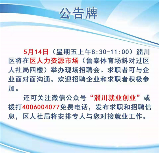 淄川地区最新招聘信息深度解析，历年十一月十四日招聘热点解析