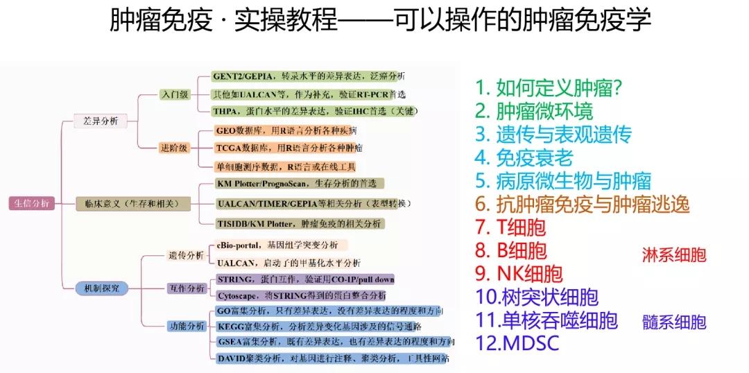 2024年全年资料免费大全,持续改进策略_OYA30.358硬件版