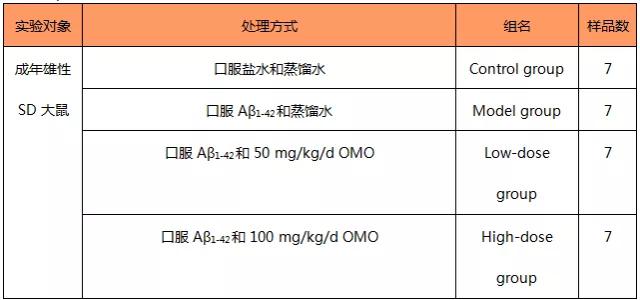 2024年澳门天天开好彩,安全设计方案评估_ZUS30.521时空版