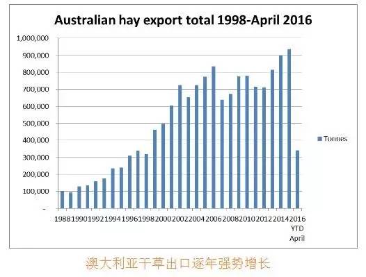 2024新澳开奖号码,处于迅速响应执行_PAX30.825DIY版