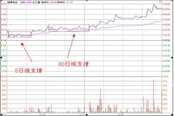 2024新澳门天天开好彩大全孔的五伏,数据决策驱动执行_TBX4.43.85个性版