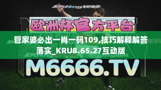 管家婆必出一肖一码109,技巧解释解答落实_KRU8.65.27互动版