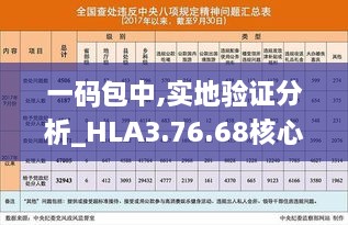 一码包中,实地验证分析_HLA3.76.68核心版